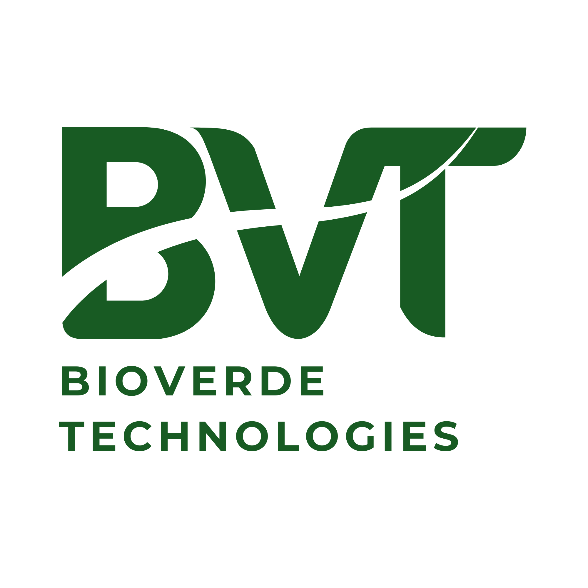 BVT Logo